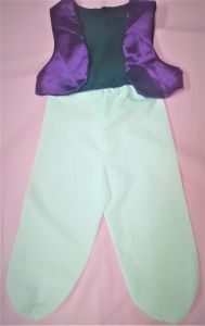 Kids Costumes to Hire - Aladin CHILD 